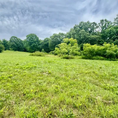 18+/- ACRES - 378 JOHNSON HOLLOW ROAD, NEW TAZEWELL, TN 37825