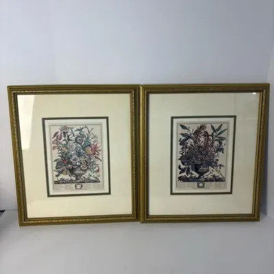 DERRY, NH: BIRDS NEST HQ-Curated Collection