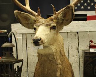 ANTIQUES COINS COLLECTIBLES QUILTS AND MORE