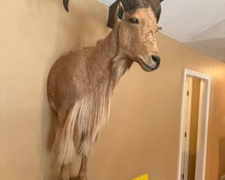 Sterling Estate Sale