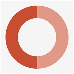 Circle Auction logo