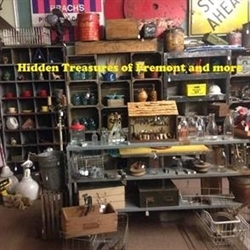 Hidden Treasures Of Fremont logo