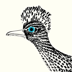 Roadrunner Estate Sales logo