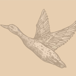 Avery's Estate Sales logo