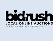 Bidrush logo