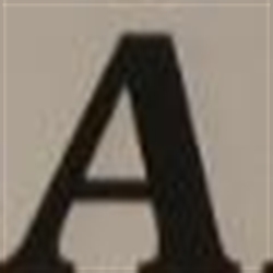 Alter's Estate Services logo